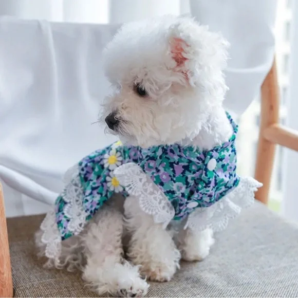 Small Pet Puppy Dog Lace Skirt Princess Dress Summer Clothes - Picture 5 of 6
